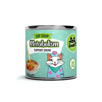 VETEXPERT Mr. Bandit Salmon Metabolism Support – funkcinis gėrimas katėms – 95 ml