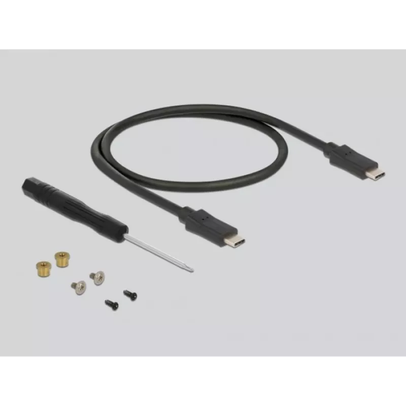 Išorinis SSD korpusas DeLOCK 42003 M.2 SATA SSD su USB Type-C