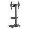 Gembird TVS-75S-02 TV grindinis stovas su ratukais, 37 - 75, juodas