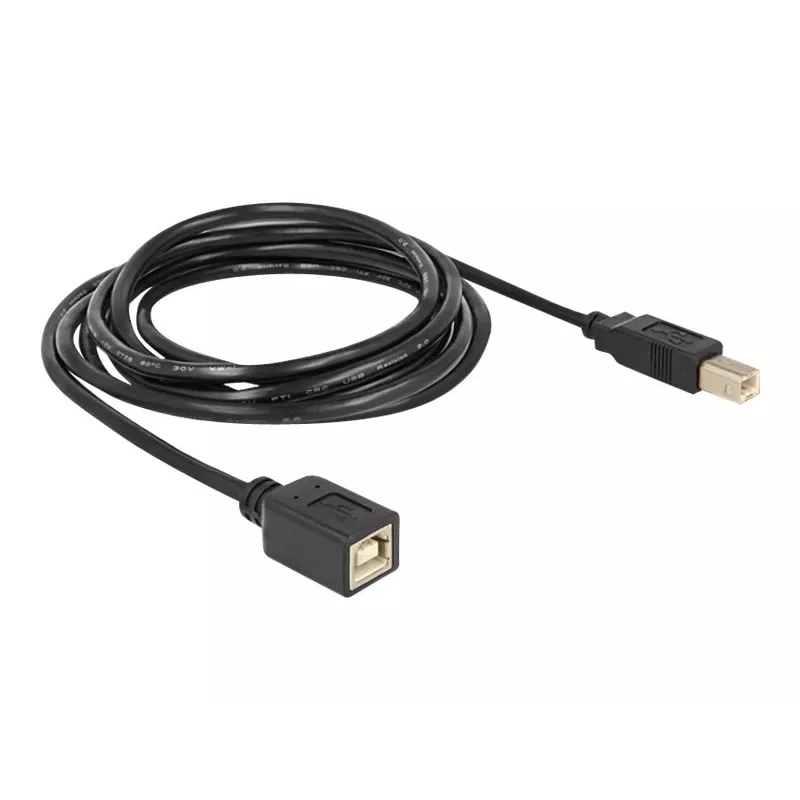 USB laidas DeLOCK USB2.0-B 2m USB B juodas