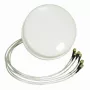 ALLNET antena 2,4/5 GHz 4dBi DualBand Spatial Diversity MIMO lubinė antena HG2458-4SDC-RSP