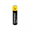 Intenso Batteries Energy Ultra AAA LR03 10 vnt. susitraukianti pakuotė