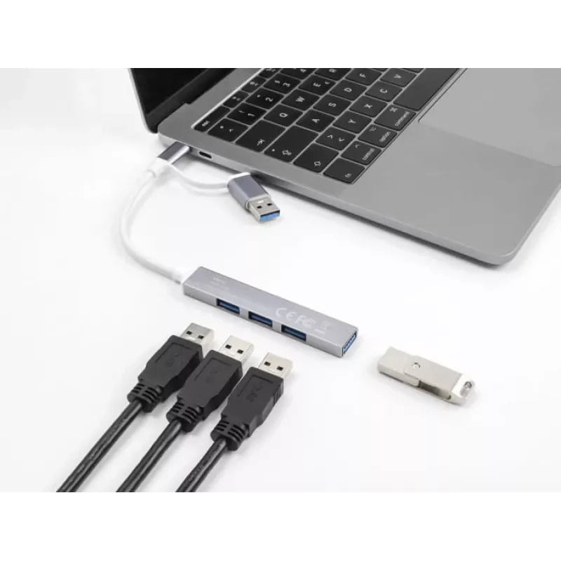 Delock 64214 USB šakotuvas 4x USB-A, sidabrinis