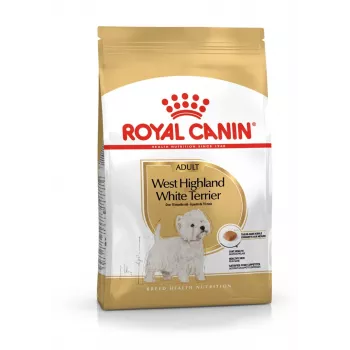 Royal Canin BHN West Highland White Terrier Adult - sausas ėdalas suaugusiems šunims - 3kg