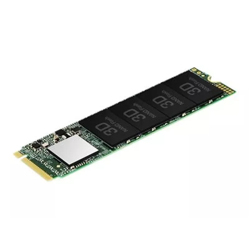 SSD diskas Transcend 256GB M.2 PCIe TS256GMTE110S