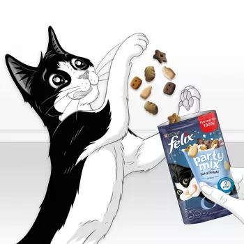 Kačių skanėstai Felix Party Mix Dairy Delight 60 g