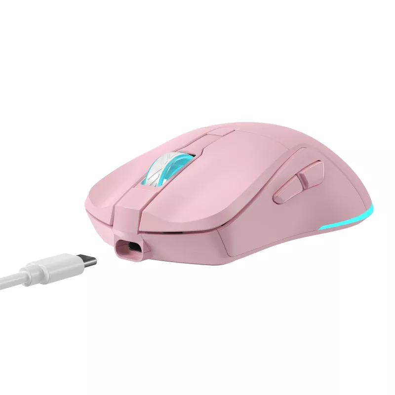 Belaidė pelė Baracuda Turtle BGM-124 rožinė TURTLE-P