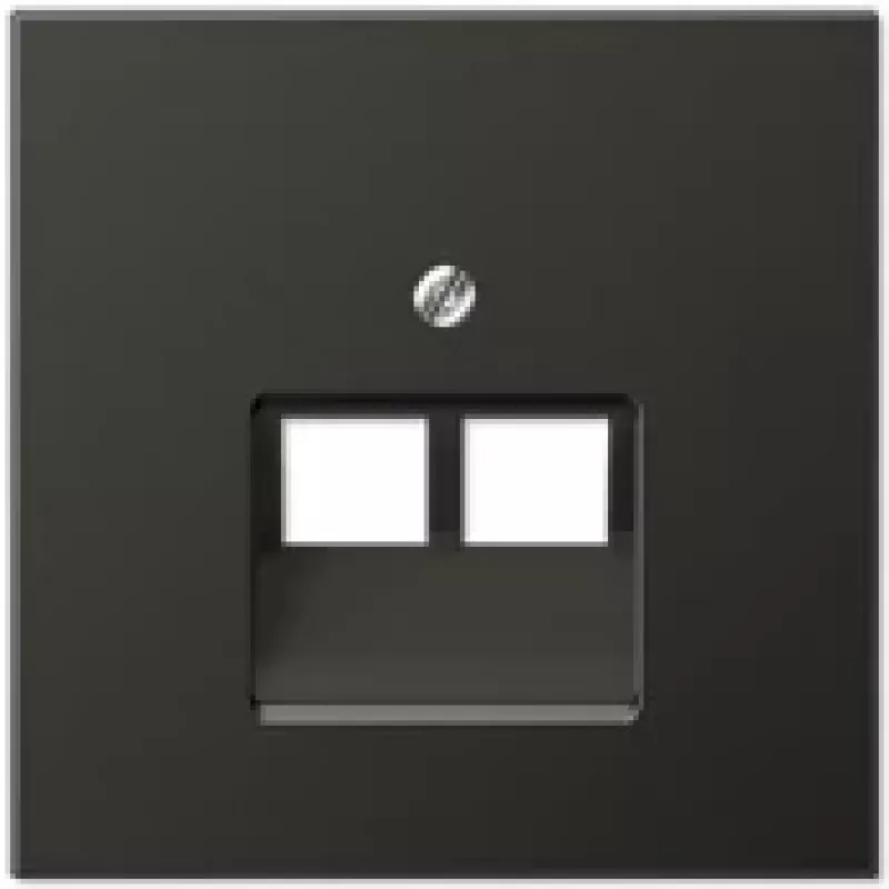 JUNG AL 2969-2 UA AN. Produktfarbe: Schwarz, Material: Aluminium, Buchsen-Typ: RJ-45 (AL2969-2UAAN)