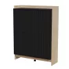 Cama PORTO komoda 100x38x130 ąžuolas/juodas