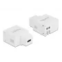 Keystone modulis USB Type-C įkrovimo prievadas DeLOCK 87792