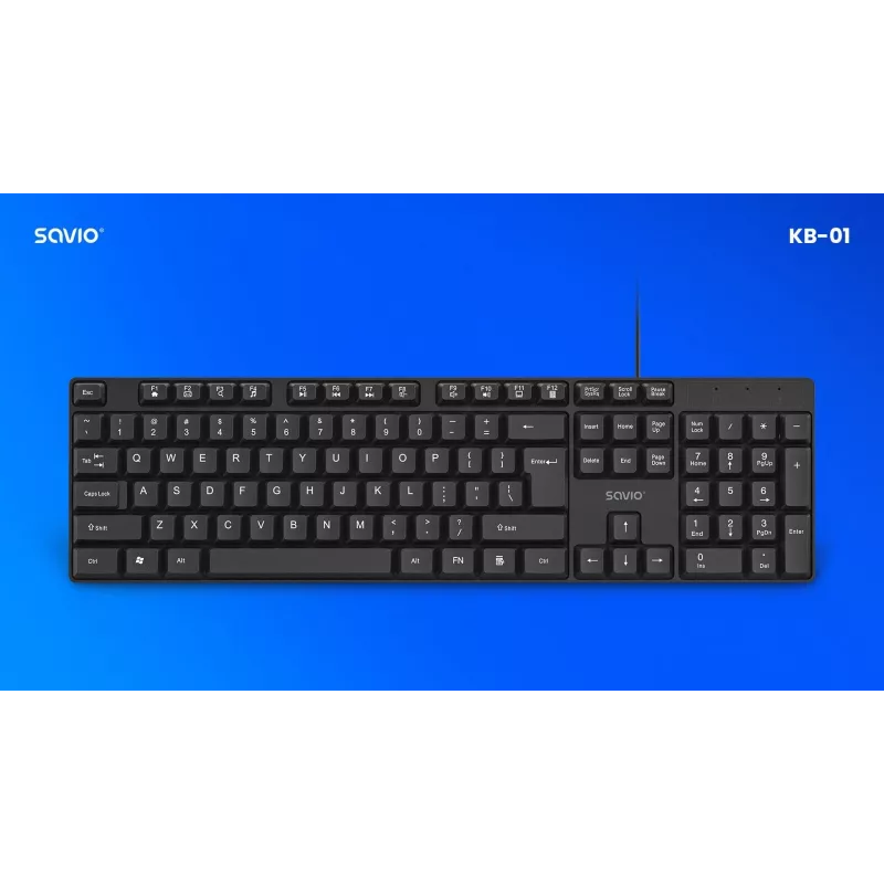 Savio KB-01 klaviatūra Namai/Biuras USB QWERTY JAV anglų Juoda
