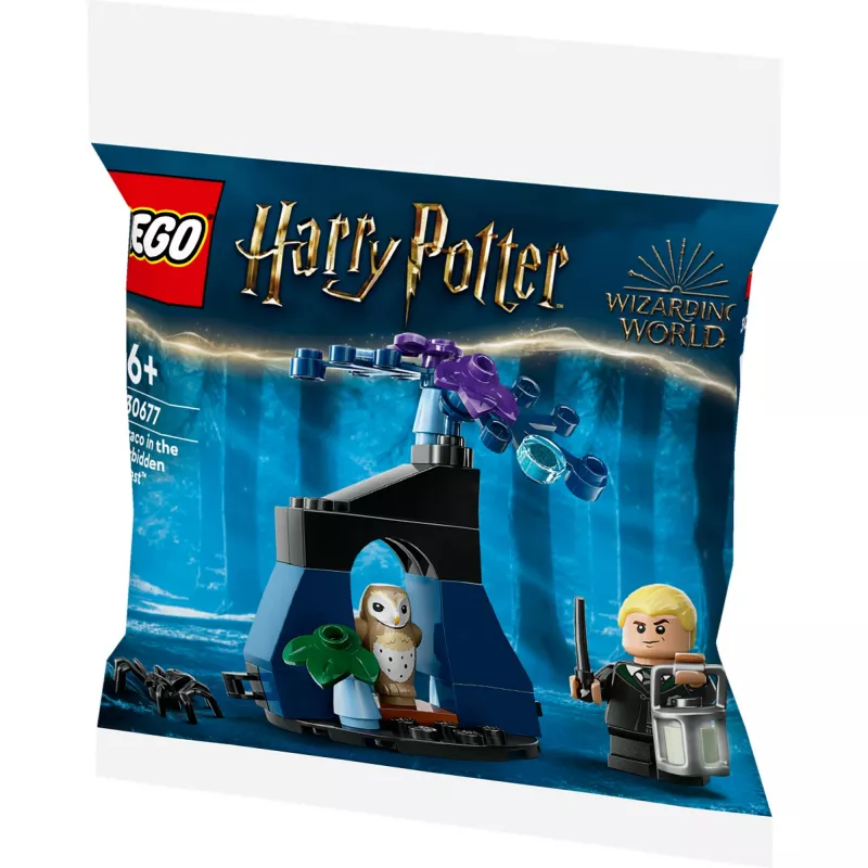 Konstruktorius LEGO Harry Potter rinkinys 30677 – Drakas Užburtojo miške minifigūrėlių scena