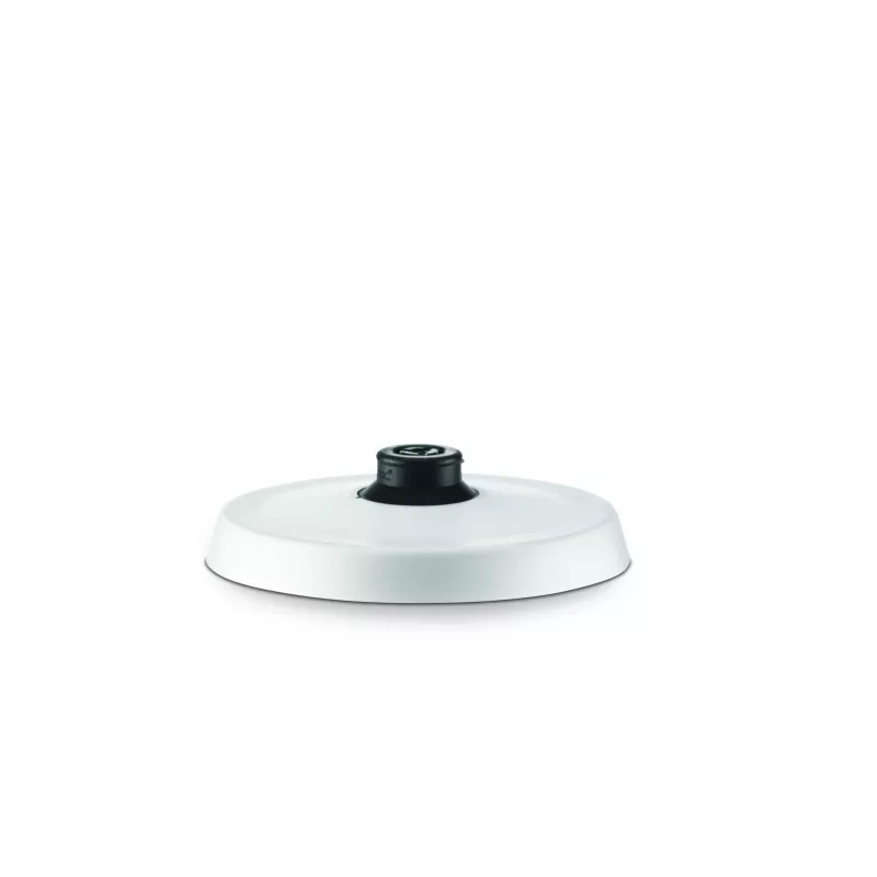 Elektrinis virdulys Zelmer 1,7 l 2200 W sidabrinis