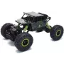 Amewi 22194 1:18 elektrinis crawler modelis RC transporto priemonė (22194)