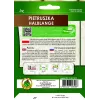 Apte Petražolė Pusilgė juosta 6 m – vėlyva, derlinga veislė