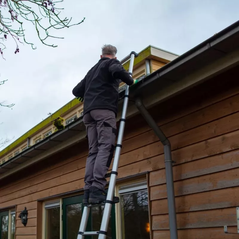 Batavia Giraffe PRO Teleskopinės kopėčios 2,93 m
