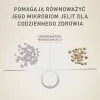 Sausas šunų ėdalas Purina Nestle Mini Adult Jautiena su Ryžiais 800 g