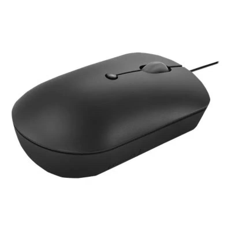 Laidinė optinė pelė Lenovo GY51D20875 USB Type-C, ambidekstrinė, 2400 DPI, 4 mygtukai, juoda