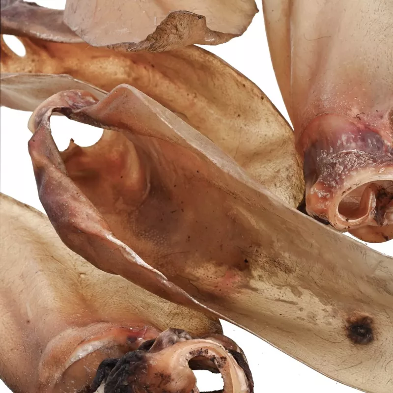 Šunų skanėstai PETITTO jautienos ausis su kremzle — pakuotė po 10, vieno ingrediento kramtomi užkandžiai