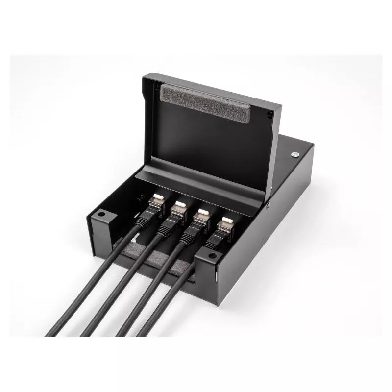 Paskirstymo dėžutė DeLOCK 66235 4 prievadų Metalinė Juoda