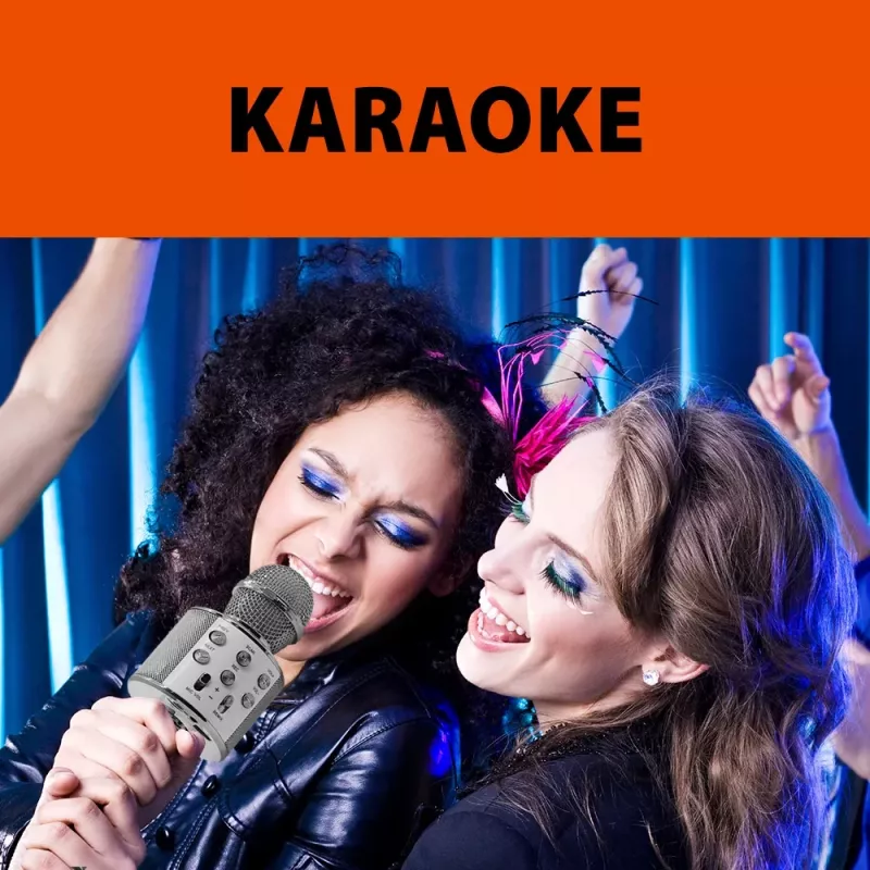 Manta MIC20-GL Gold karaoke mikrofonas su garsiakalbiu