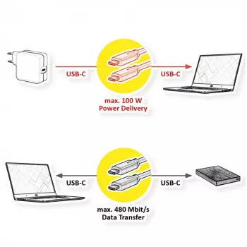 USB C laidas VALUE 11.99.8310 3 m juodas USB 2.0