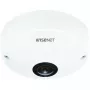 IP stebėjimo kamera Hanwha QNF-8010 Dome 2048 x 2048 pikseliai
