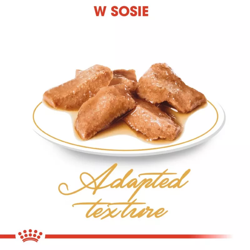ROYAL CANIN FBN Maine Coon - Šlapias ėdalas katėms - paketėlis 12x 85g