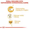 Sausas kačių ėdalas Royal Canin British Shorthair Adult 10 kg – paukštiena, baltymai 34%, riebalai 19%