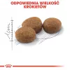 Sausas ėdalas katėms Royal Canin Sterilised 2 kg – suaugusioms sterilizuotoms katėms, vištiena, 37% baltymų