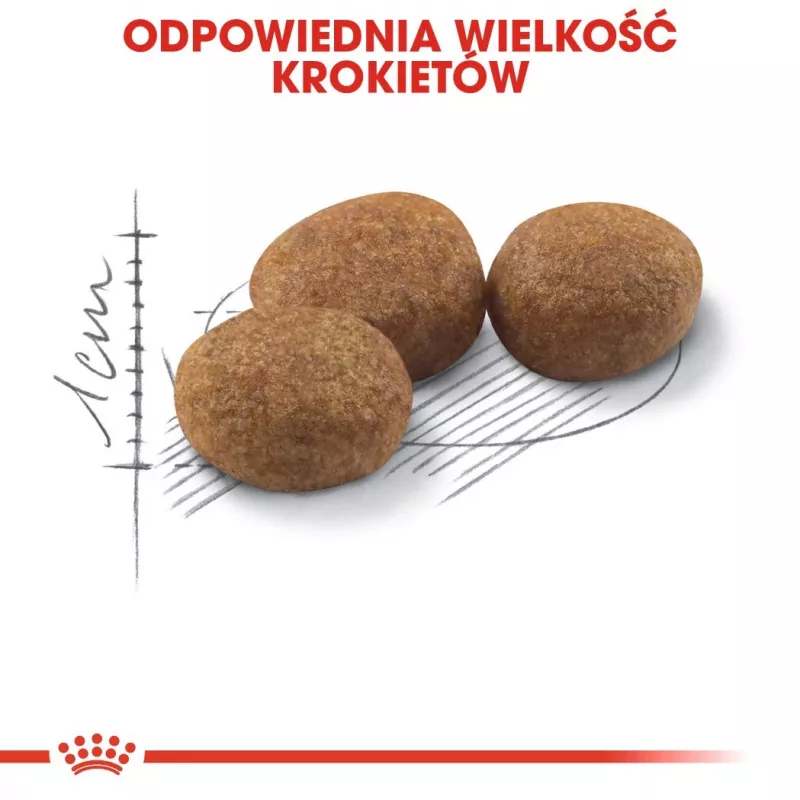 Sausas ėdalas katėms Royal Canin Sterilised 2 kg – suaugusioms sterilizuotoms katėms, vištiena, 37% baltymų