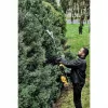 DeWALT strypinis gyvatvorių pjovimo priedas