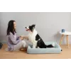 PETKIT Four - M lizdinė lova katėms ir mažiems šunims, vidaus naudojimui, 1 vnt.