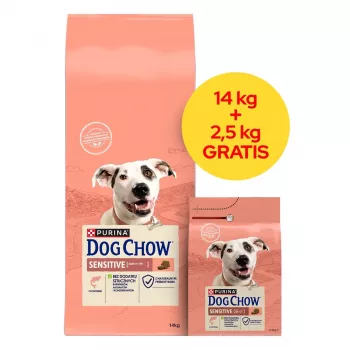 PURINA Dog Chow Sensitive Salmon – sausas šunų ėdalas su lašiša – 14 + 2,5 kg