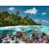 Dėlionė Ein Dive in the Maldives (2000 dalių)