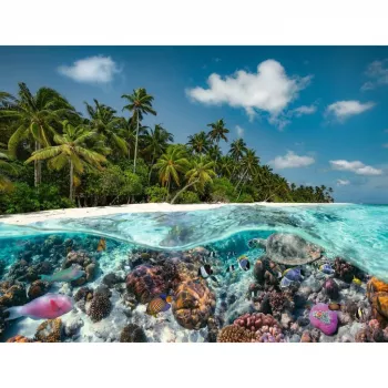 Dėlionė Ein Dive in the Maldives (2000 dalių)