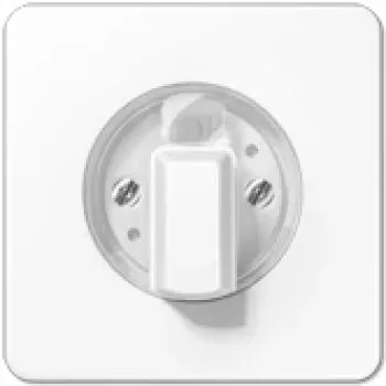 JUNG CD 1541 WW - Baltas - 1101-4 - 1101-20 - 11015 - 11120-20 - 1234,10 - 1234,20 - IP44