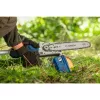 Bosch GKE 18V-25 TP belaidis genėjimo pjūklas su teleskopine rankena, pjovimo ilgis 25 cm, 18 V (06008D6000)