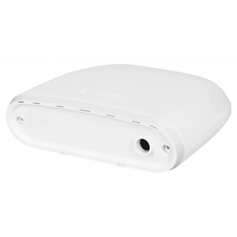 Zyxel ACCESSORY-ZZ0102F apsauginis dangtelis belaidžiam prieigos taškui