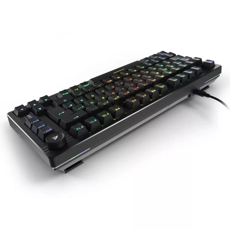 Sharkoon SGK25 klaviatūra USB QWERTZ vokiška juoda 75% RGB LED