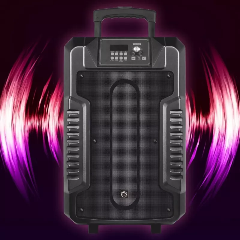Garsiakalbiai Manta SPK1203B100 100W