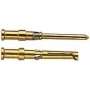 HART Crimp Kontaktinis Kojelinis Kištukas 0,5 mm² 09150006123 Auksuotas 100 vnt.
