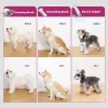 PETKIT DT5-EU kombinuotas dulkių siurblys ir kirpimo mašinėlė katėms bei šunims, juoda/violetinė