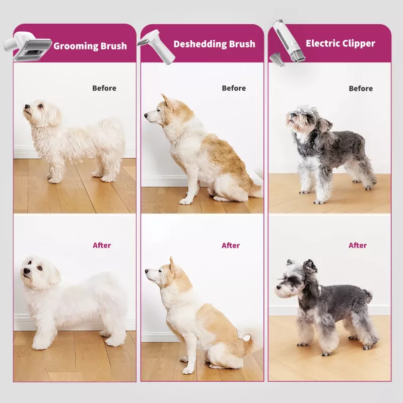 PETKIT DT5-EU kombinuotas dulkių siurblys ir kirpimo mašinėlė katėms bei šunims, juoda/violetinė