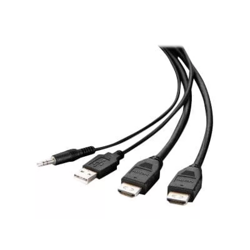 Belkin Secure KVM kombinuotas kabelis - vaizdo / USB / garso kabelis - TAA atitikmuo - USB, mini lizdas, HDMI (kištukas)