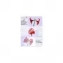 Laminavimo maišeliai Olympia 1x100 DIN A5 125 mikronų