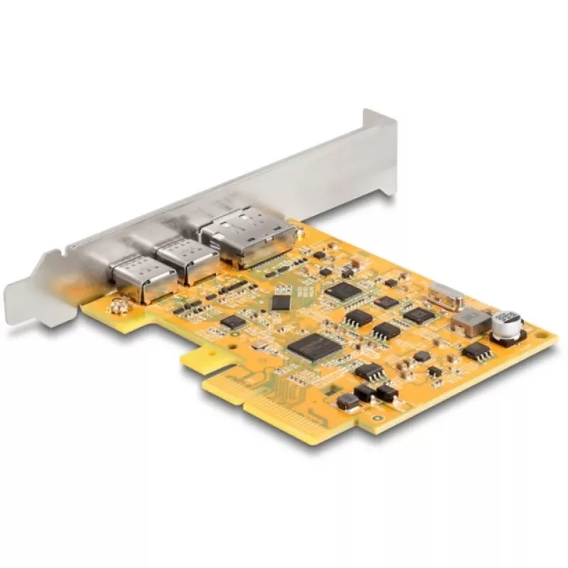 PCI Express x4 kortelė DeLOCK 90161
