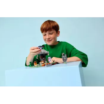 LEGO MINECRAFT 21586 Blyškusis sodas