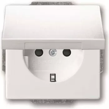 Busch-jaeger 2CKA002018A1520 jungiklis
