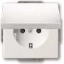 Busch-jaeger 2CKA002018A1520 jungiklis